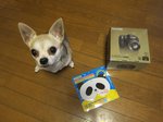 アップロードファイル 49KB